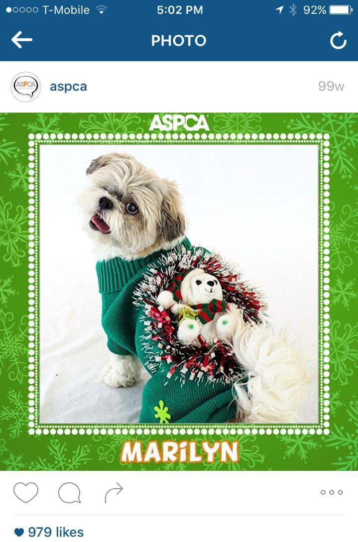- ASPCA: The Holidays are a time for love, laughter, and family! Do you think you can expand your family and heart for one more fury addition?