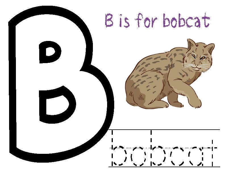 B Is For Bobcat Coloring Page Directions: Print the sheet and
