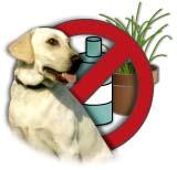 Hilton Free Veterinary Small Hospital Animal Veterinary Advice e-mail:martin@hiltonvethospital.co.