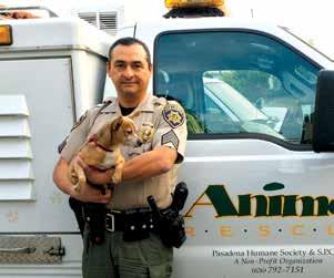 MARCH APRIL 2016 pasadena humane society & spca Heroes in the Field PHS animal control officers (ACOs) are ready for action day and night, rain or shine.