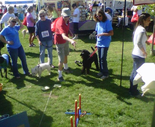 motivate other individuals and organizations to achieve similar objectives. Read about Wags and Menace at their website located at wagsandmenace.org. Corrie and Penny hosting the games at Cottonwood s booth.
