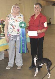 First of all, to no one s surprise, Sandra Davis and her Border Collie were HIT with a 199.5 out of Utility B.