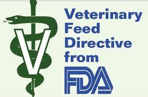 Veterinary Feed Directive (VFD) Existing veterinary oversight of