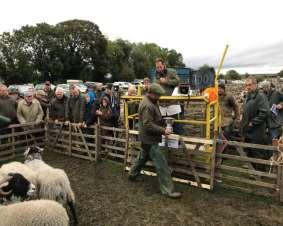 QUALITY SHEEP SOCIETY 2017 SALE REPORTS