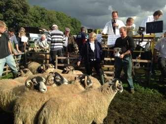 J Ford, Sproxton Swaledale shearlings to 120.00 M.