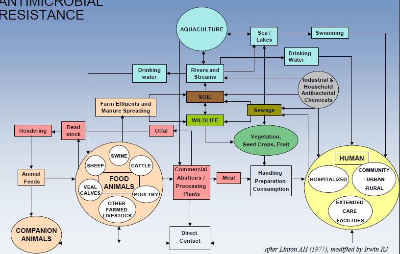 ANTIMICROBIALS: A COMPLEX ECO- SOCIAL- TECHNOLOGICAL SYSTEM Global