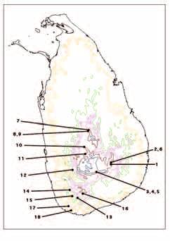 Gower et al.: Phylogeny of Sri Lankan caecilians Table 1. Details of voucher specimens of Sri Lankan Ichthyophis included in this study.