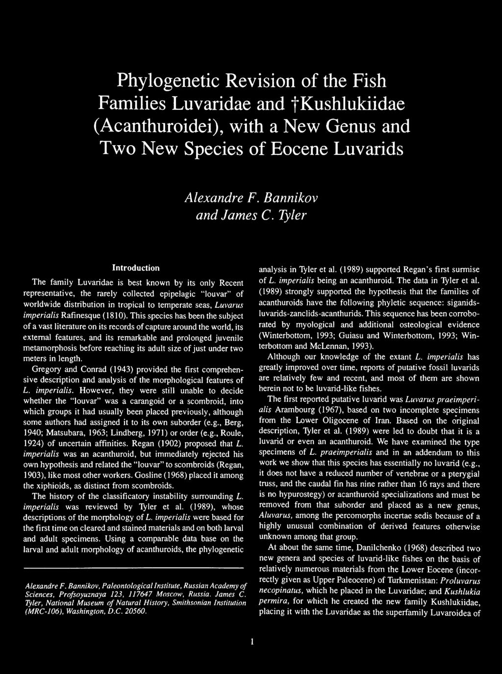 representative, the rarely collected epipelagic "louvar" of (1989) strongly supported the hypothesis that the families of worldwide distribution in tropical to temperate seas, Luvarus acanthuroids