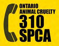 Our affiliation with the OSPCA ensures delivery of leadership in matters related to the prevention of cruelty to animals and the promotion of animal welfare and humane and suitable animal care, calls
