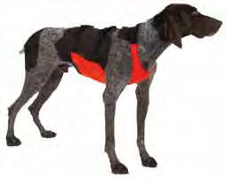 comfortable harness for your dog that is made of heavy duty nylon. Available in Black.
