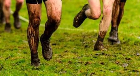 Can YOU go the Distance? scottishathletics National Cross Country Championships No previous experience necessary This one day course will consist of two parts: Generic Endurance Officials Course (2.