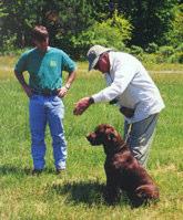 Spend time with the trainer learning to handle your dog and carry on its training.