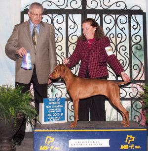 Margaret & Ken Norkett Our Whippet puppy, Nikki, Ableaim Nikki s Not Naughty (much), was Winners Bitch for a 3 point major in Charleston. Thecla Tyner 2009 shaped up to be a great beginning!