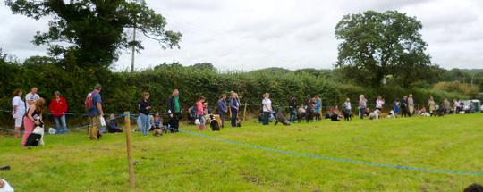 The Landerio Farm Horse Show at Mylor was held in early September, a fab day out for horse and dog lovers alike.