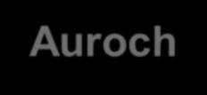 The Auroch where all