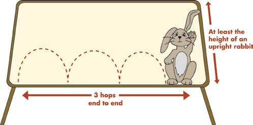 Section 1 - Environment Make sure your rabbit has a suitable place to live.