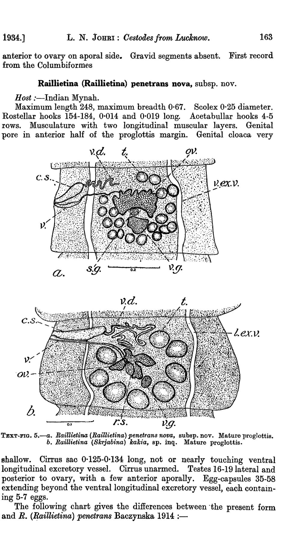 1934.] L. N. JOHRI: Oestodesfrom Luclcnow. 163 anterior to ovary on aporal side. Gravid segments absent. First record from the Columbiformes Raillietina (Raillietina) penetrans nova