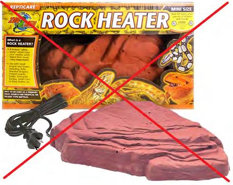 In my experience, it is far better to maintain your reptile at its preferred temperature all year round and this seems to result in less health problems.