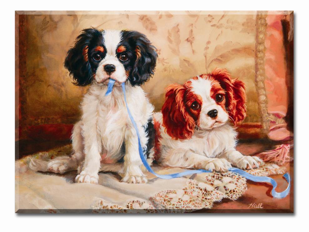 CAVALIER KING CHARLES SPANIEL CLUB, USA PUPPY OF THE YEAR 2012 CAVALIERS OF THE WEST M.