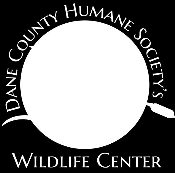 nuthatch yellow rail In 2018, 224 turtles hatched at Dane County Humane Society s Wildlife Center.