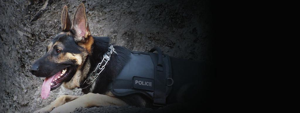 In the professional Schutzhund training of police and Military K9 s, our products are part of the daily training.