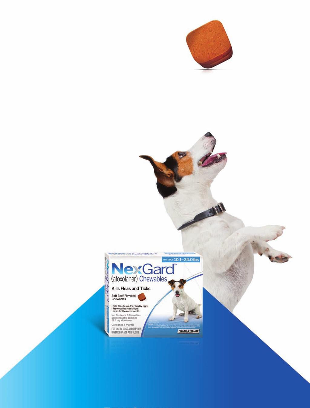 Killing fleas and ticks can be just this easy. With NexGard (afoxolaner), flea and tick control is convenient for pet owners since dogs love taking the soft, beef-flavored chew.