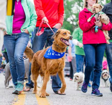 Mutt Strut is the signature fundraising event for the Humane Society of Indianapolis.