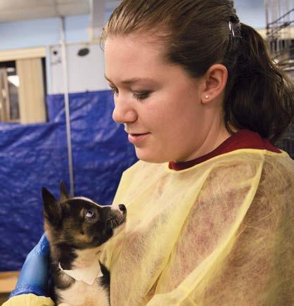 providing warm, loving care and socialization for the animals.