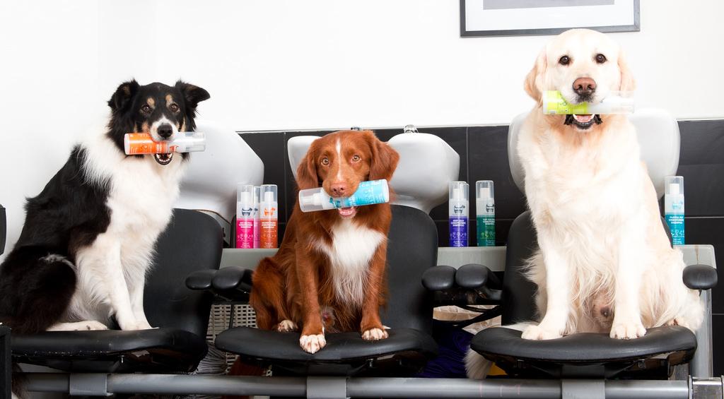 2 Natural Grooming & Professional Pet Care HOWND is the natural pet care brand for happy dogs. Our grooming ranges are specifically designed for dogs of all breeds, from puppyhood to golden oldies.
