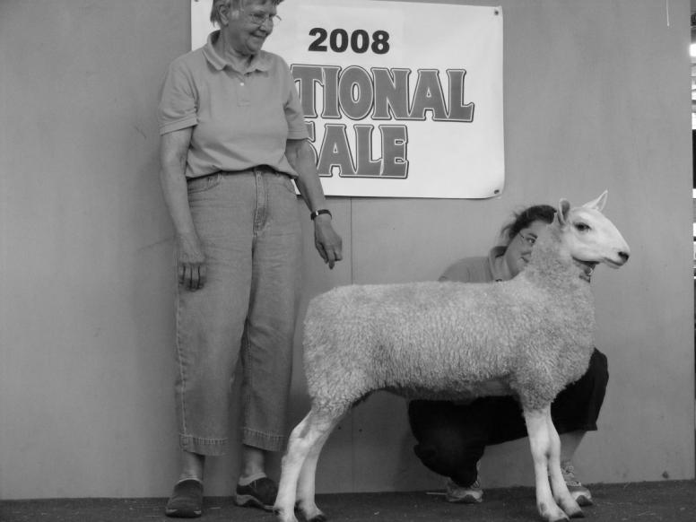 !! Look for our entries in the New York Sheep & Wool Festival in Rhinebeck, NY Sale in October!
