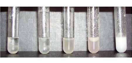Studies to evaluate efficacy and safety Cerumen solubilisation: in vitro data