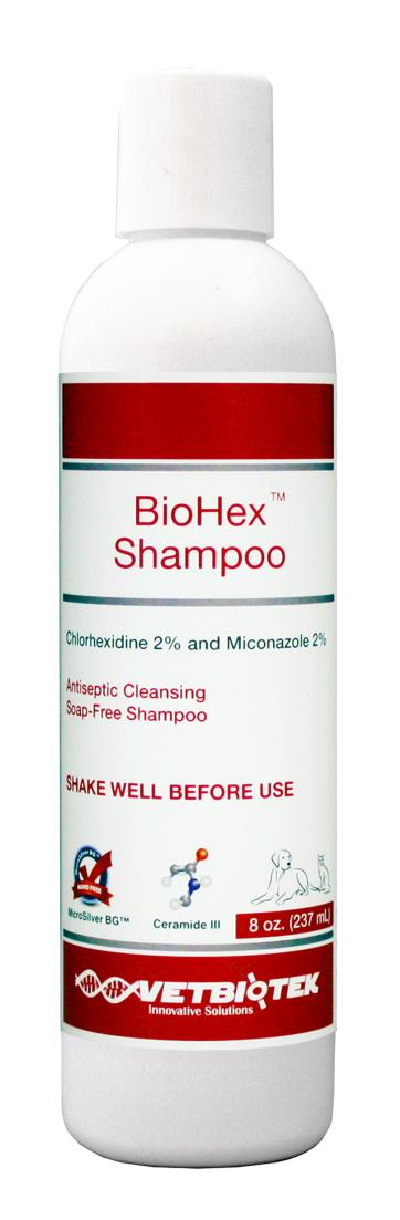 action of a chlorhexidinemiconazole shampoo Recent