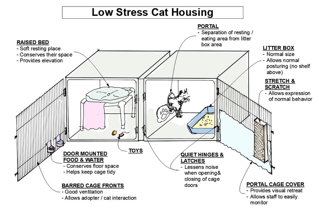 Providing animals with double compartment housing not only meets their needs and helps reduce stress but also provides staff with the safest, most efficient and humane way to care for pet animals