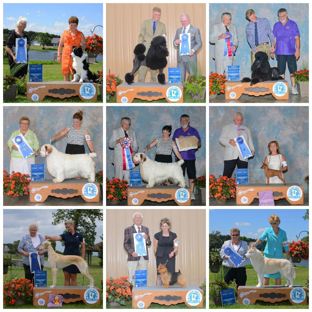 Cambridge Minnesota Kennel Club 2016 June 25 Best in Show and