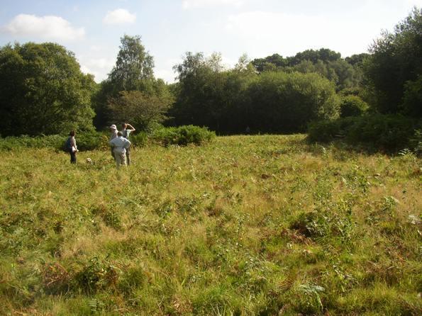 were very taken with Markstakes Common when they were shown round by the rangers Thyone and Dan Fagan (right). Photo.