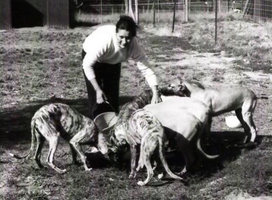 Introduced to greyhound racing in Queensland in the 1950s - Pat would often wag school with her brother and a friend so she could frequent the greyhound races at Beenleigh - where she met and later
