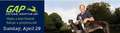 With a record 1314 greyhounds adopted through its Greyhound Adoption Program in the 2016/17 financial year, GRV s focus has been on ensuring the best possible life for greyhounds before, during and