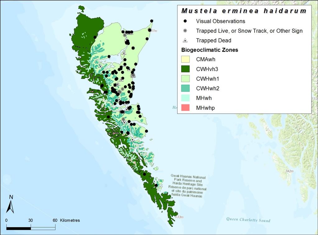 Figure 3. Locations of verified and unverified Haida Ermine records on Haida Gwaii, British Columbia, since 1898.