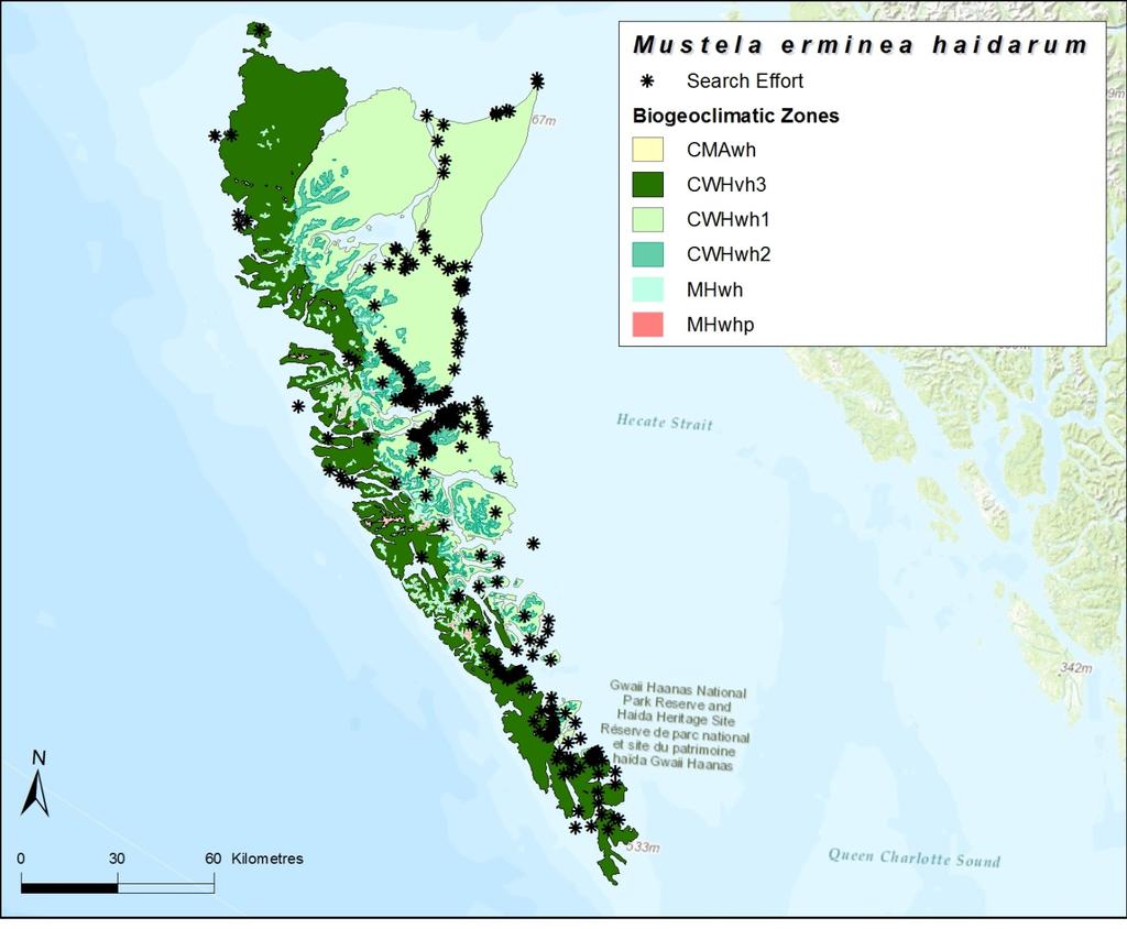 Figure 4. Approximate location of surveys for Haida Ermine on Haida Gwaii, British Columbia, since 1960.