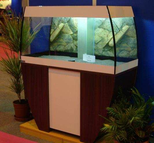 This albeit stylish aquarium seems to contradict this idea!
