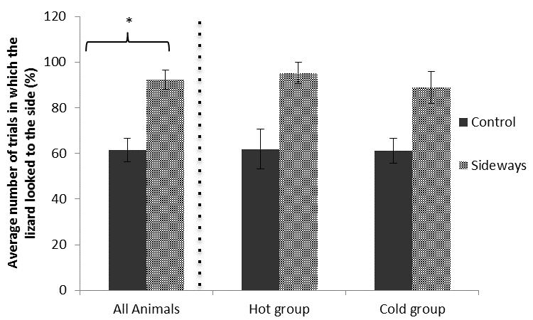 Figure 6. Mean % of looks trials in which the lizard looked to the side (± SE) for the control group and the looking sideways condition for experiment 2.