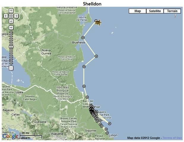 Appendix 4. Continued The turtle remained close to Tortuguero (yellow circle) until 12 September, travelling close to Limón.