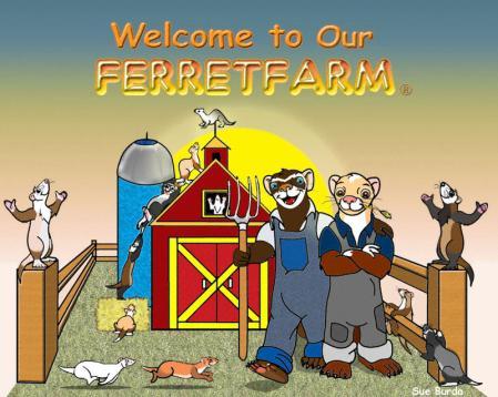 ADOPTION APPLICATION Welcome to the Lakeroad Ferret Farm Rescue/Shelter Adoption Program. The following information will help us assist you in the selection of a ferret (s).