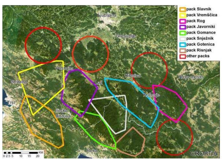 Figure 11. Map of the spatial distribution of wolf packs on the basis of data in Slovenia (three monitoring seasons within the project LIFE+ SloWolf and earlier data) and in Croatia (monitoring by J.
