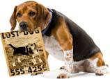 citations Looking for pet food pantry Send to Reception Send directly in to