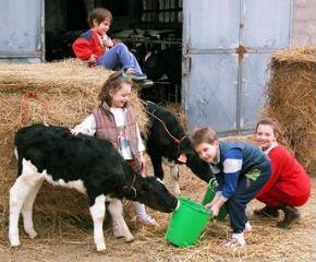 a.s.l) Family-run operation: different roles of each member Small dairy,