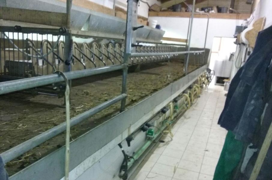 Joint inspection: Local Veterinary Service and VPH Laboratory (IZS Venezie) Evidence of some critical points: Animal management and milking performed by the same person