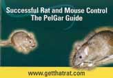 Rat & Mouse Control - an overview of the best products and PelGar s
