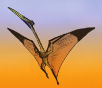 Fossils explained 53 Titans of the skies: azhdarchid pterosaurs Pterosaurs, the flying reptiles of the Mesozoic, often play second fiddle in popularity to their contemporaries, the dinosaurs.