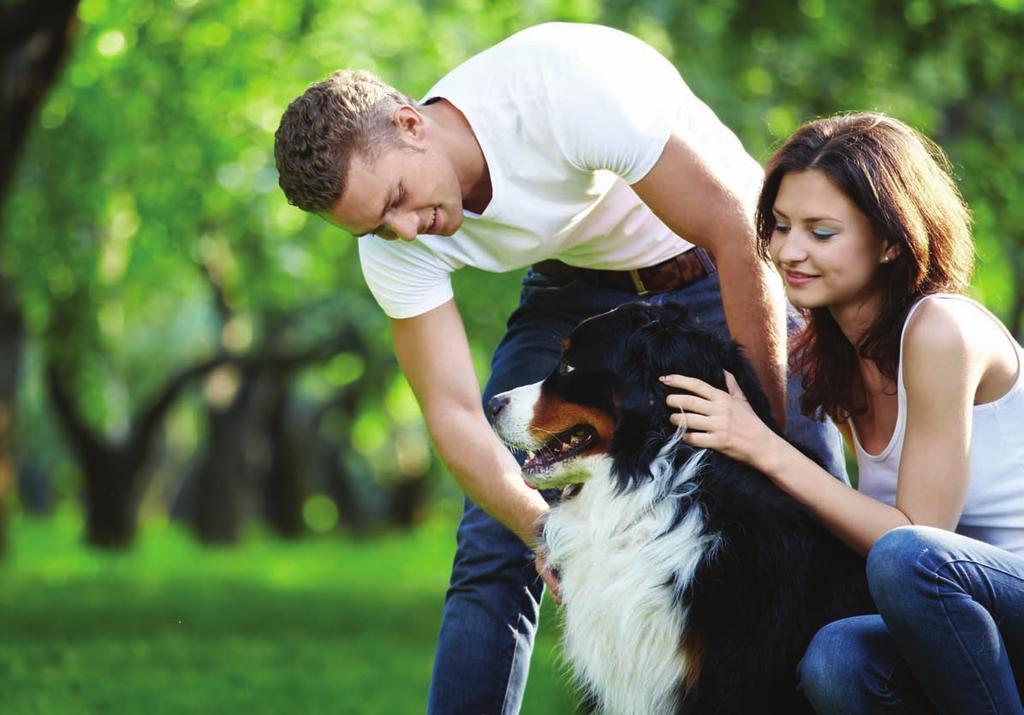Focus on ownership This section reports on how well-informed owners are about their animals needs, assesses the amount and source of advice they seek on each welfare need and what